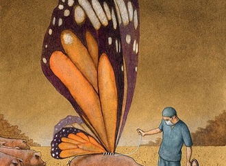 
                                                            pawel kuczynski poland 250