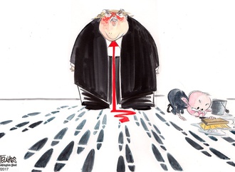 
                                                            ann telnaes sweden 51