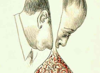 
                                                            roland topor32