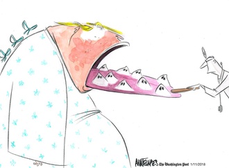 
                                                            ann telnaes sweden 77