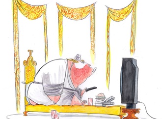 
                                                            ann telnaes sweden 48