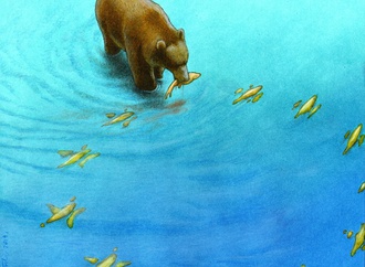 
                                                            pawel kuczynski poland0