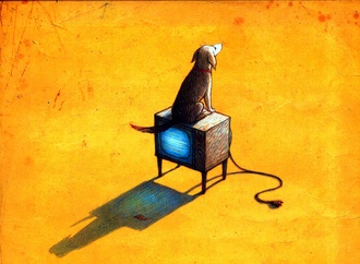 
                                                            shaun tan australia 2