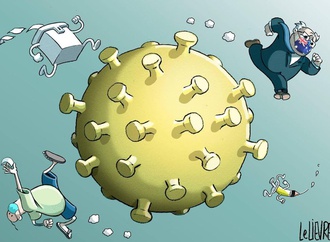 
                                                            glen le lievre11