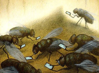 
                                                            pawel kuczynski poland 232