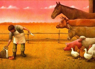 
                                                            pawel kuczynski poland 278