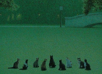 
                                                            quint buchholz 13