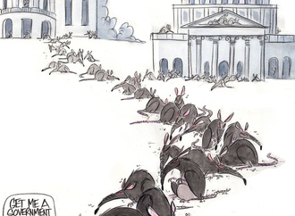 
                                                            ann telnaes sweden 54