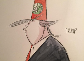 
                                                            ann telnaes sweden 102