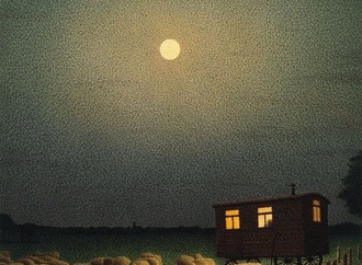 
                                                            quint buchholz 7