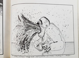 
                                                            ralph steadman america8