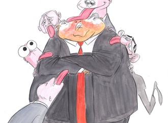 
                                                            ann telnaes sweden 53