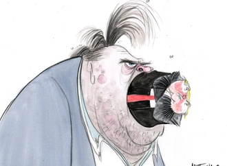 
                                                            ann telnaes sweden 78