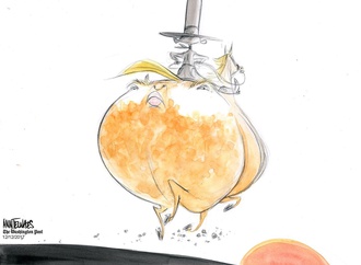 
                                                            ann telnaes sweden 70