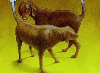 
                                                            pawel kuczynski poland 362