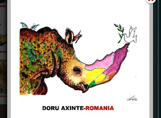 
                                                            doru axinte romania 17