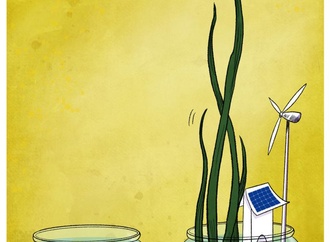 رشد از کجا آغاز میشود