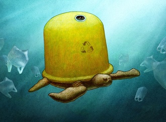 
                                                            pawel kuczynski 15