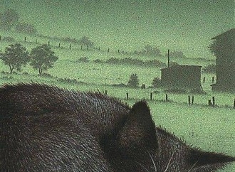 
                                                            quint buchholz 14