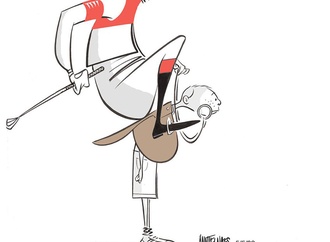 
                                                            ann telnaes sweden 39