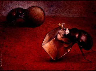 
                                                            pawel kucznski poland