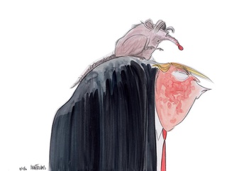 
                                                            ann telnaes sweden 14