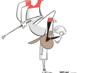 
                                                            ann telnaes sweden 56