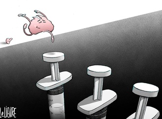 
                                                            glen le lievre7