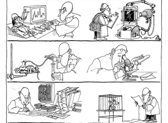 Gallery of Cartoon by Quino-Argentina | book 3