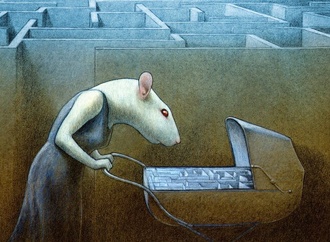 pawel kuczynski63