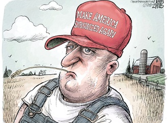 adam zyglis usa 6