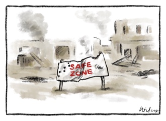 cathy wilcox