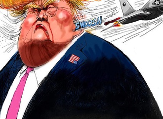 steve benson usa 34