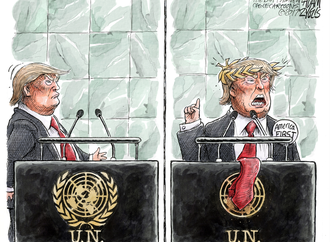 adam zyglis usa 24