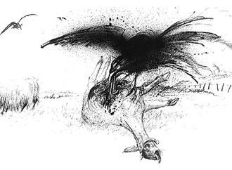 ralph steadman uk 69