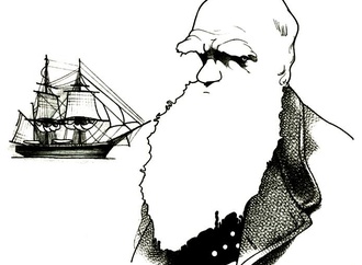 charles darwin by cassio loredano