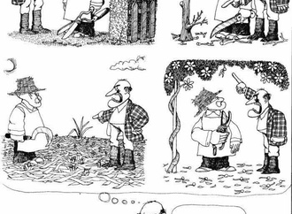 quino