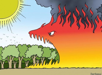 forest fires