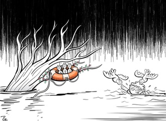 Gallery of cartoon by Alireza Pakdel-Iran