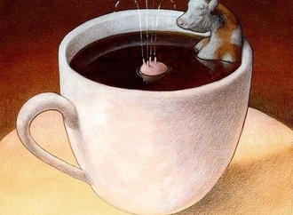 pawel kuczynski11