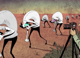 steve cutts7