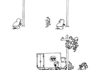 quino