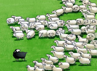 Sheep