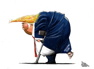 steve benson usa 19