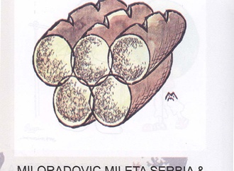 miloradovic mileta serbia