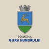 The International Gura Humorului "THE SMILING CITY” CONTEST /Romania,2024