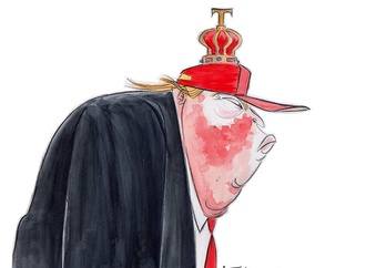 ann telnaes sweden 32