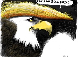 steve benson usa 6