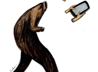 raul fernando zuleta5