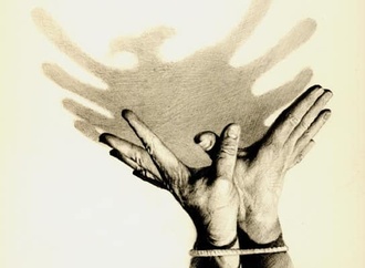 agim sulaj
